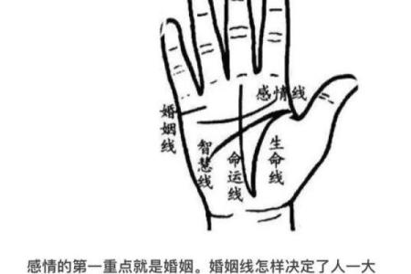 图解;手相赌运纹算命