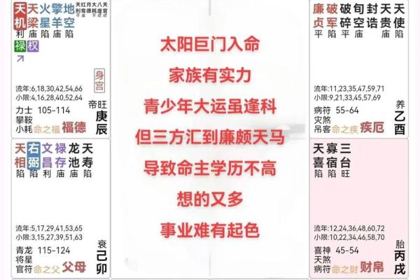 倪师设计紫薇斗数