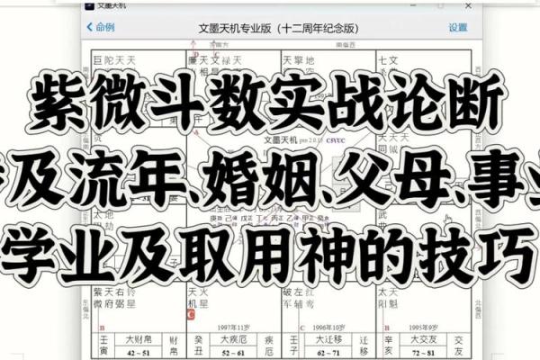 紫薇斗数实战实例