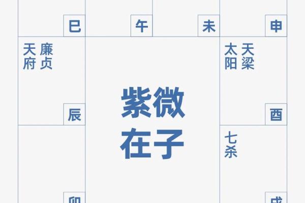 紫薇斗数富翁格局