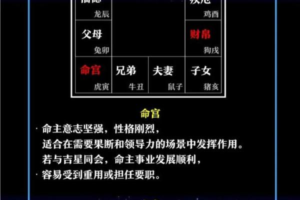 紫薇斗数appios版