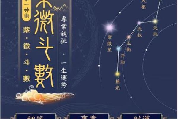 紫微斗数推广价值 紫微斗数专业术语？