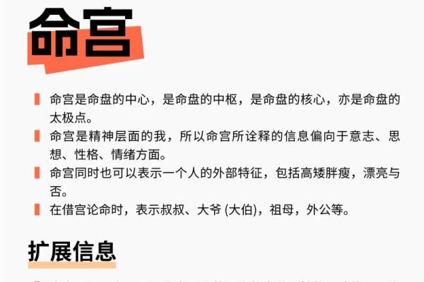 紫微斗数推广价值 紫微斗数专业术语？