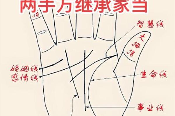 手相-掌丘算命图解