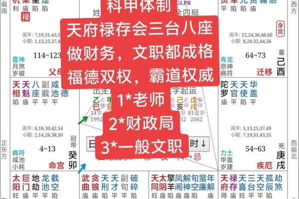 八字金舆星查询,丧门星