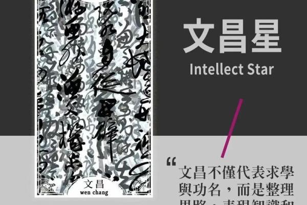 紫薇斗数比塔罗