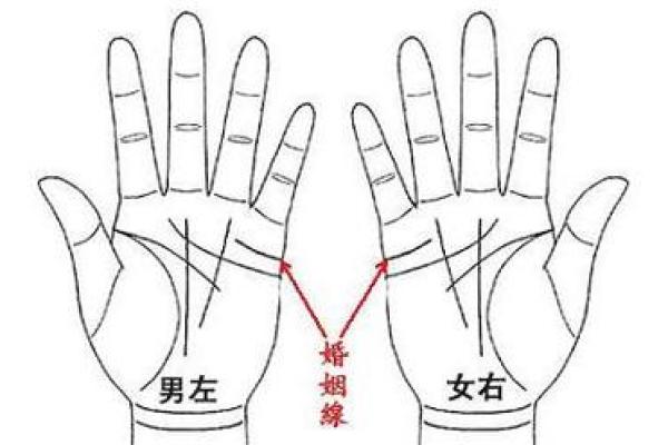 手相算命婚姻线详解