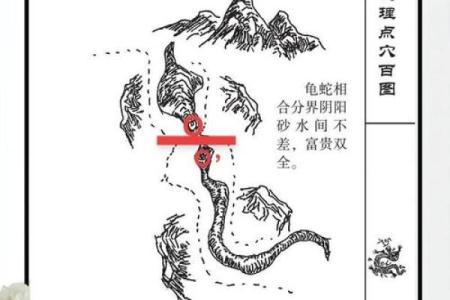 乌龟风水_龟眠之地是什么