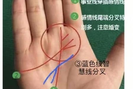 八字看婚姻线和命运线图解