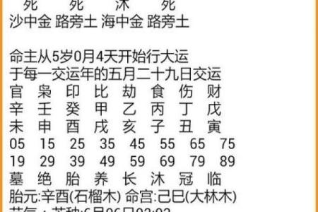 曲炜周易：四柱八字断应期秘法