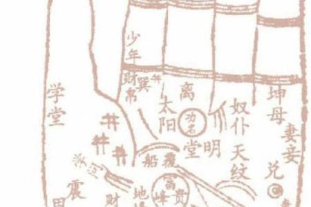 手相-掌丘算命图解