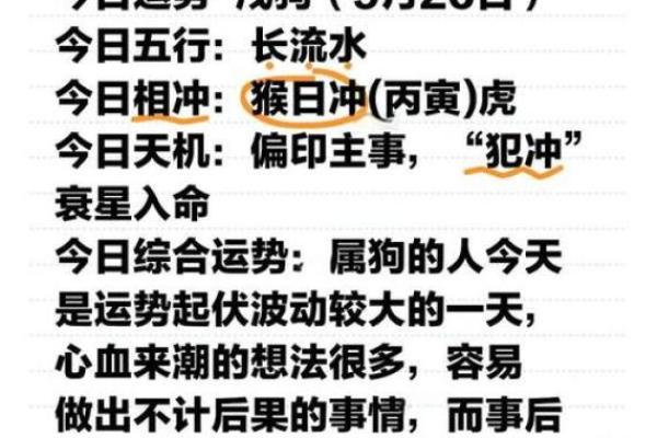 1994年生肖狗命的八字分析与运势预测