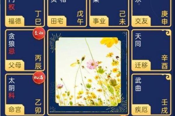 紫薇斗数高人