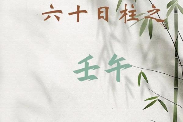 八字日柱壬子的命理详批