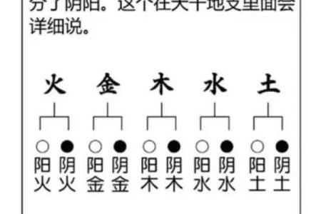 论五行八字