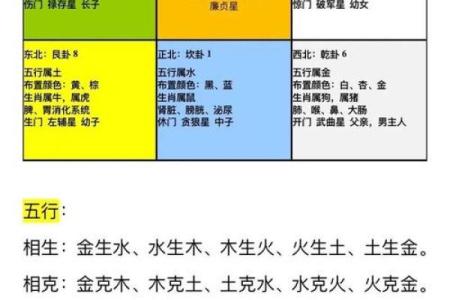 利用豆类的五行，改善健康风水
