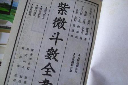 紫薇斗数一本小说