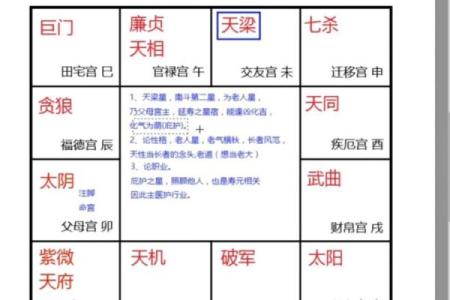 紫微斗数诸星落诸宫之：太阳星官禄宫详解