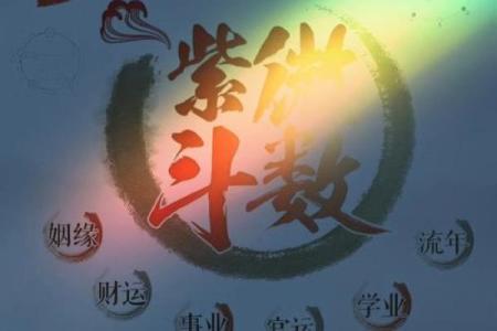 电脑紫薇斗数软件