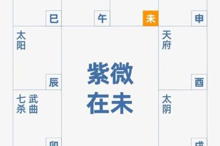 如何定紫薇星天府星