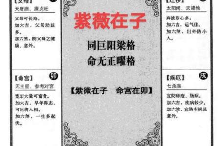 紫薇斗数紫薇分宫论
