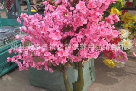 花树花枝算命