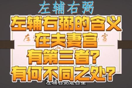 紫薇星左辅右弼入夫妻宫