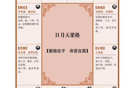 紫薇斗数命宫怎么看
