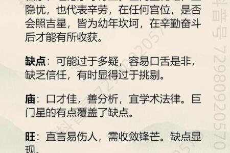 紫微斗数之子女宫与诸星，巨门星在子女宫是什么意思？