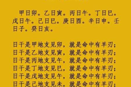 财务八字