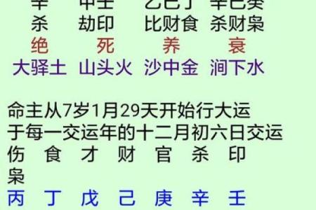 八字身旺官财透干