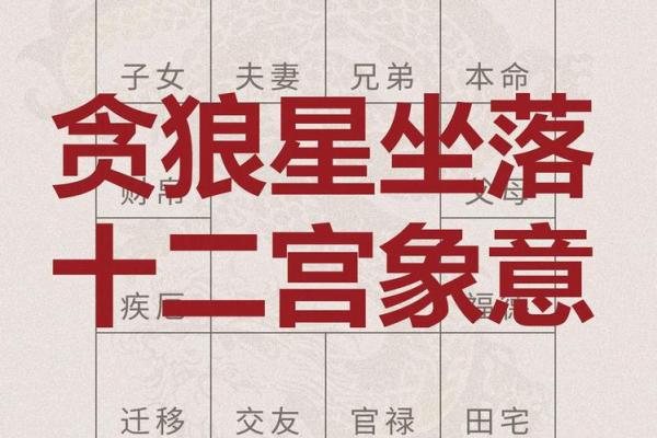 紫微斗数之疾厄宫与诸星,贪狼星在疾病宫是什么意思? 紫微斗数之疾厄宫与诸星,贪狼星在疾病宫是什么意思?