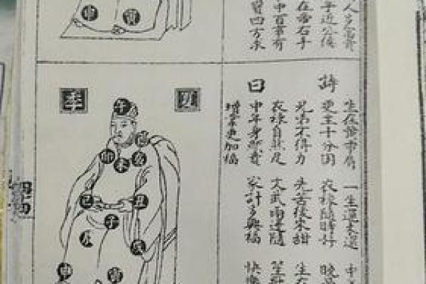 算命树的说法