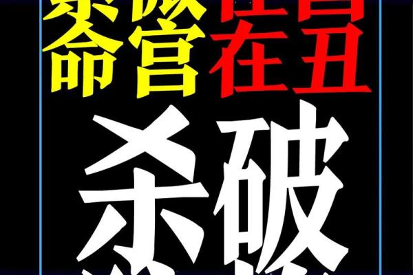 紫微斗数案例25健康：抑郁的命盘啥样？你在什么时间渡劫？