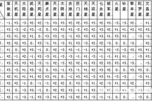 壹年山人紫薇斗数