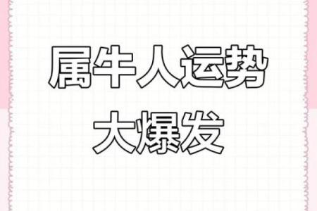 紫薇星年运势