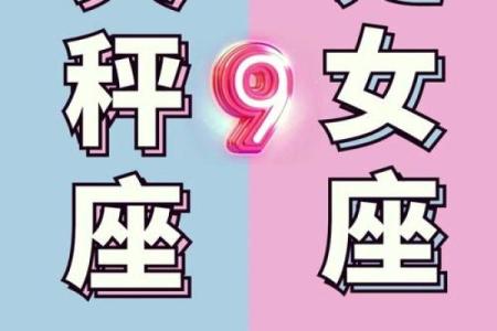 天秤男和什么星座在一起最合适女生