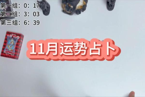 塔罗测试：十一月学习运？