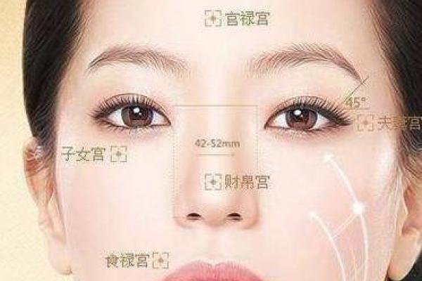 哪几个星座有高鼻梁