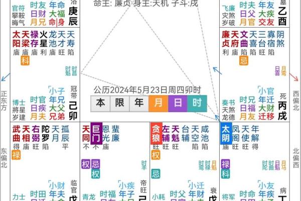 流年紫薇斗数怀孕