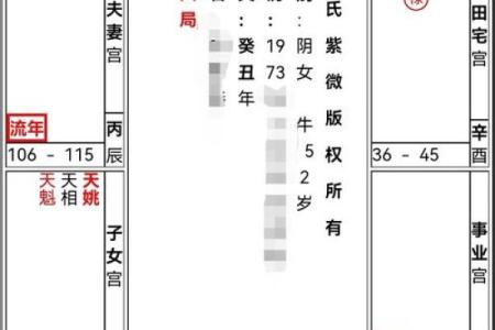 紫薇斗数流年怀孕