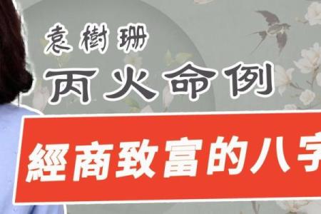 袁树珊八字