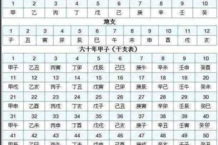 怎么查自己八字,如何查四柱