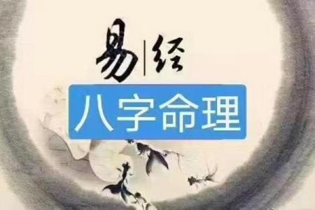 算命不如认命是什么意思