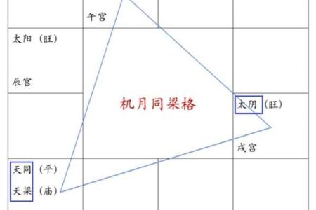 紫薇斗数状元格