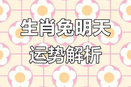 一个兔子头的星座运势
