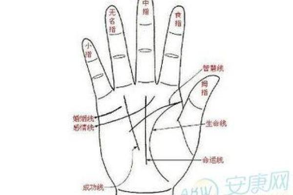 凯帝阿手相算命图解大全06