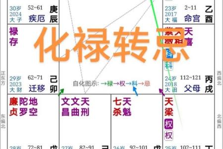 紫薇斗数好工作