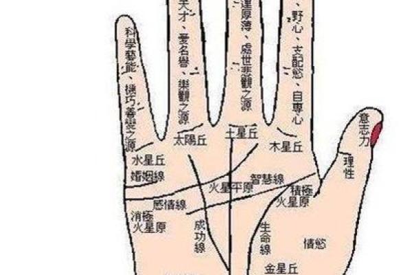手纹算命图解 财富手纹解读
