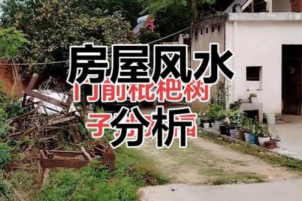 临水房子风水讲解